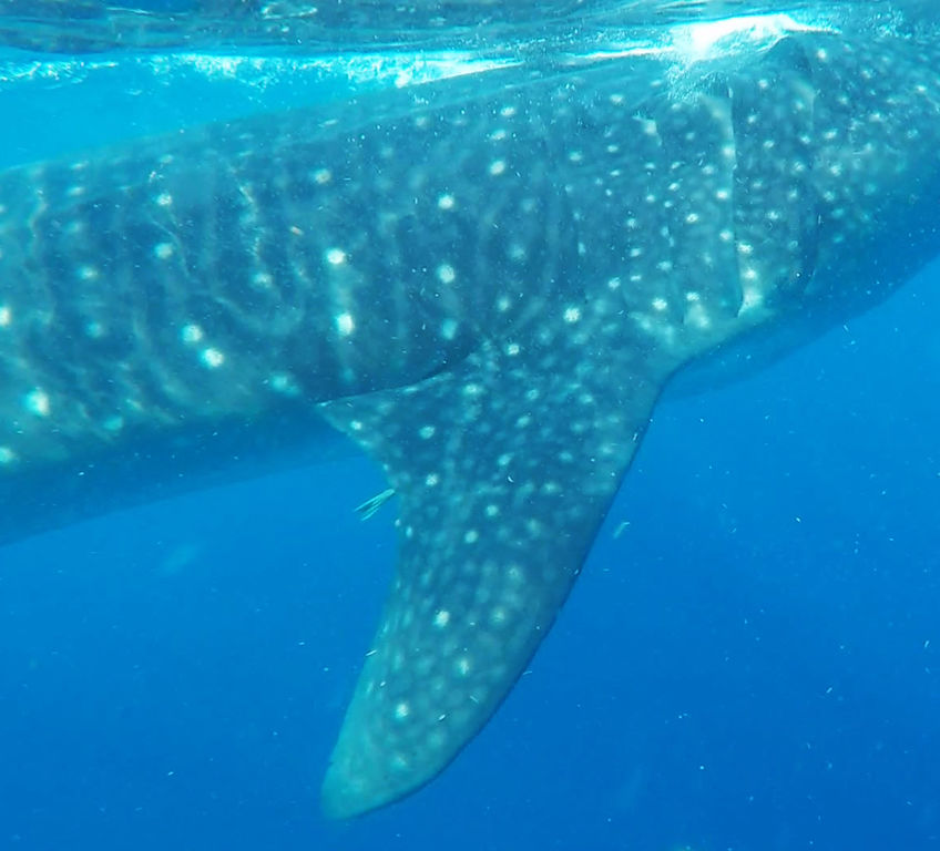 5ac5bb89-1d8a-4b28-bc38-2bc9a9caf57a