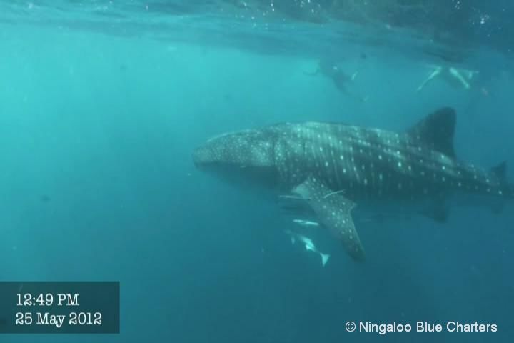 542a793e-722b-4ca1-a519-b993ac950e85