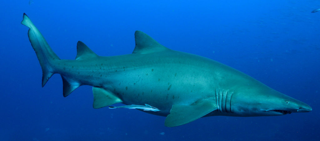 3f72451d-97dc-49de-8c46-76c6f74602b7