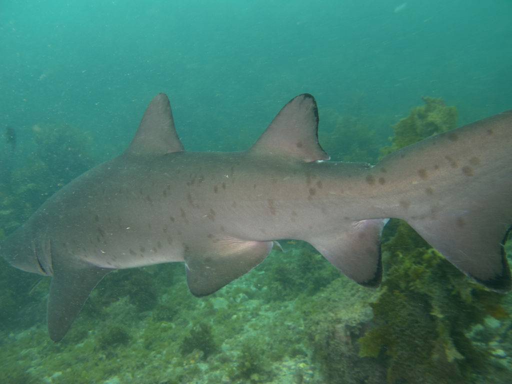 b666afcd-9b8d-4545-ba97-7194235fd600