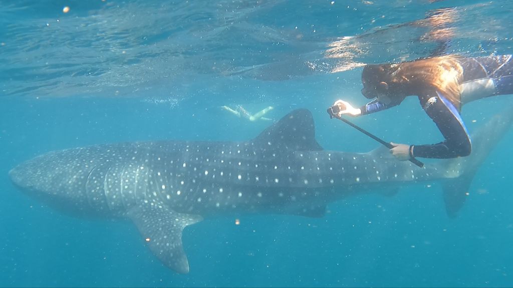 43b123db-7010-4836-97db-568959032714