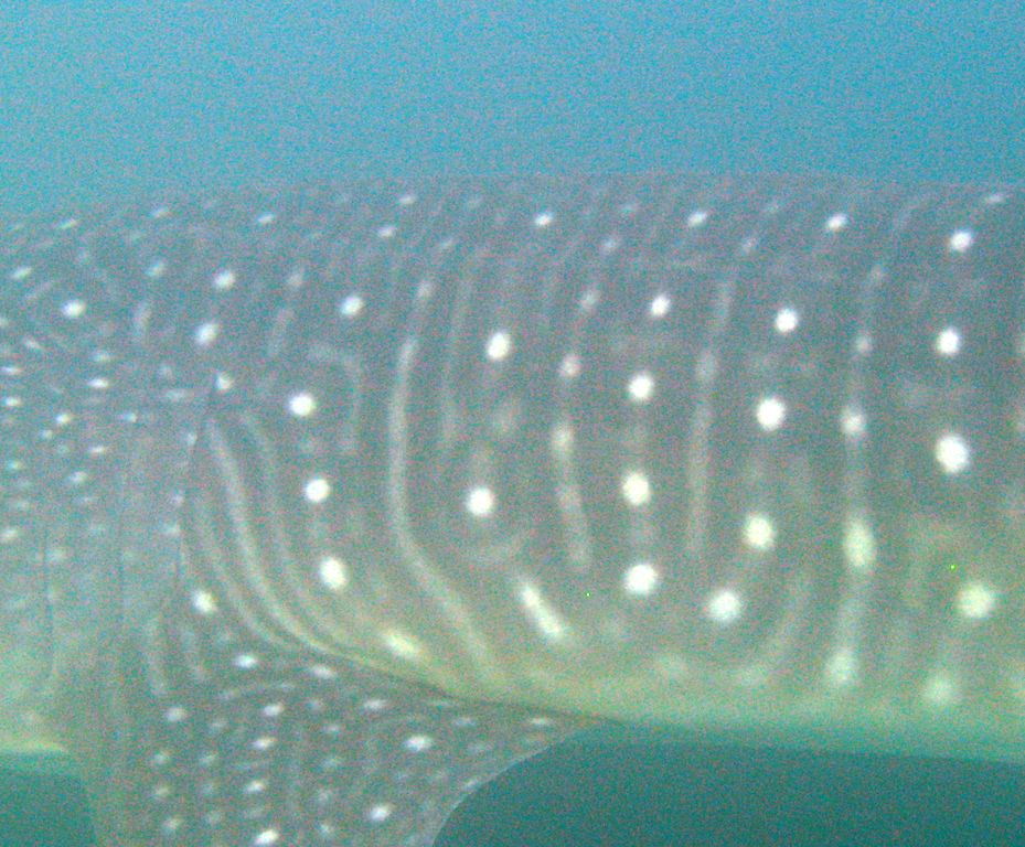 673d2b97-9778-4989-9f44-ca51220a1c58