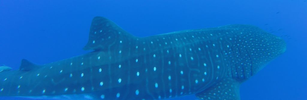 cb5ecafc-7896-44f3-a3c1-3a0510d49cfb