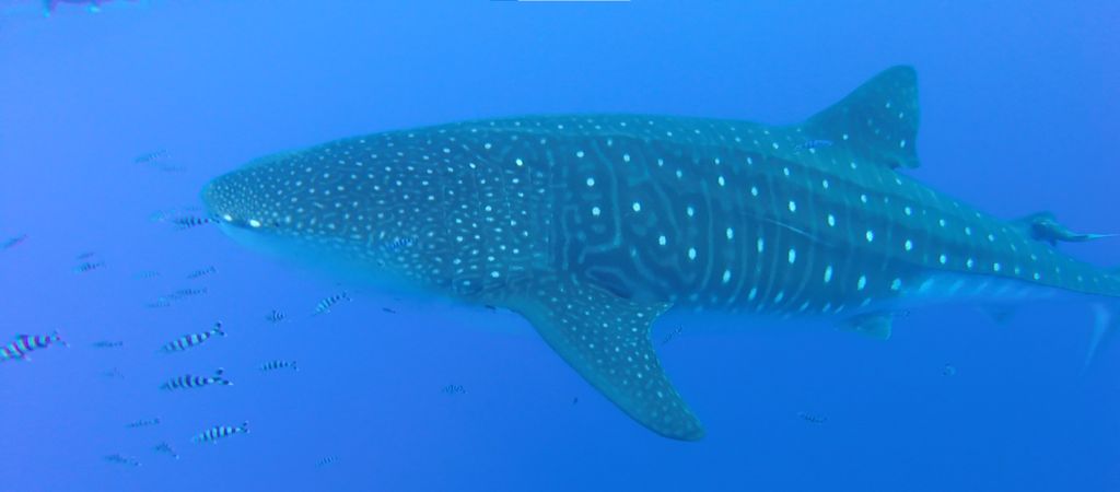 cb5ecafc-7896-44f3-a3c1-3a0510d49cfb