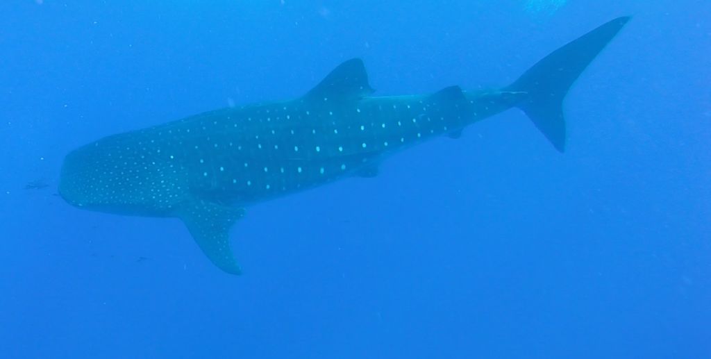 cb5ecafc-7896-44f3-a3c1-3a0510d49cfb