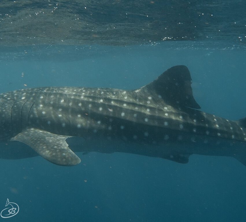 f40101dc-72c0-4c3f-8476-259a137f4e2c