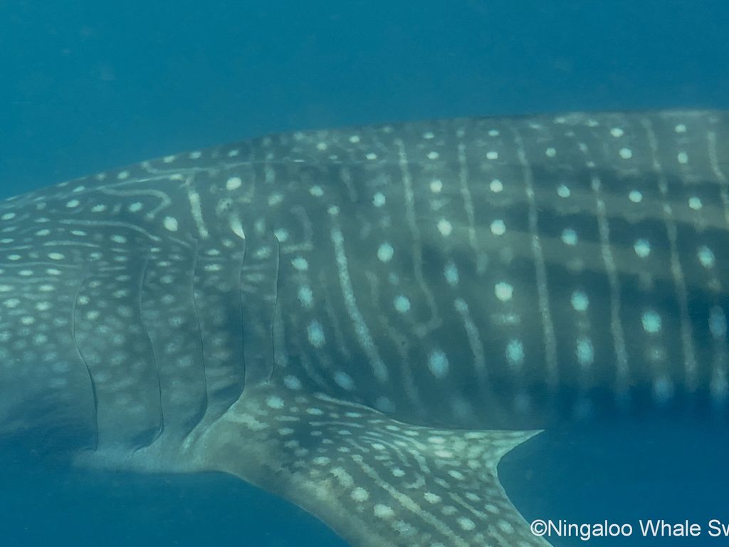 f2230b0c-6fc6-48ea-8734-53c3b8b071ba