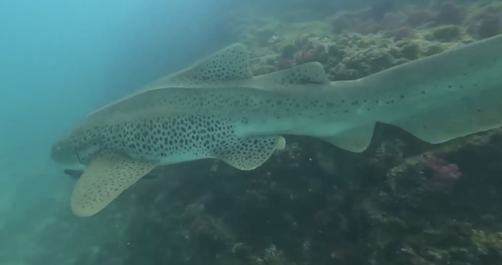 1d4ba718-9366-4672-a48a-337b716a47ca