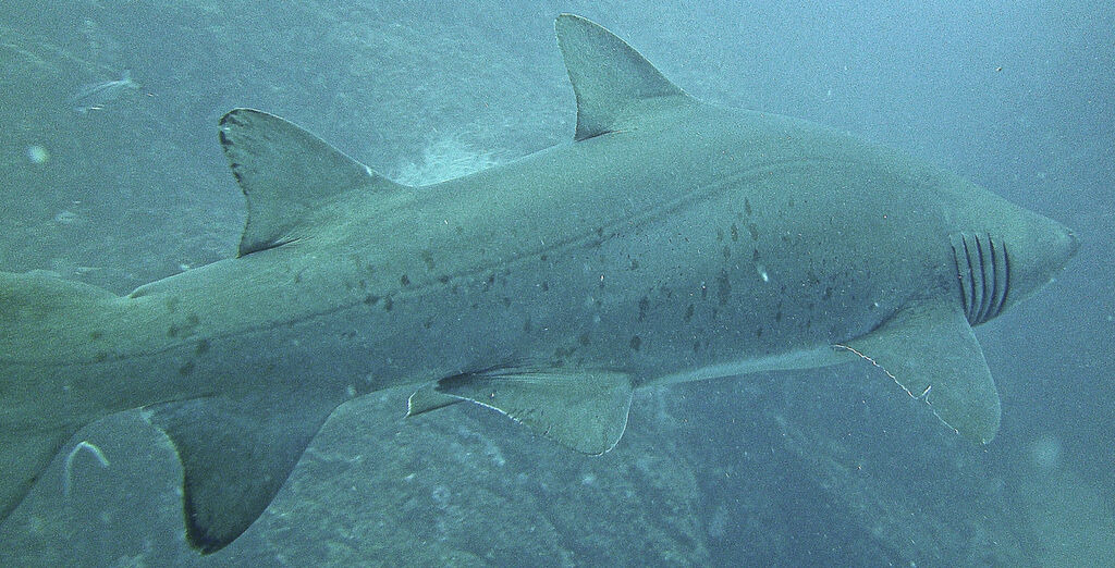 af85ed89-3720-4c85-b3c9-fc1d2b6489cb