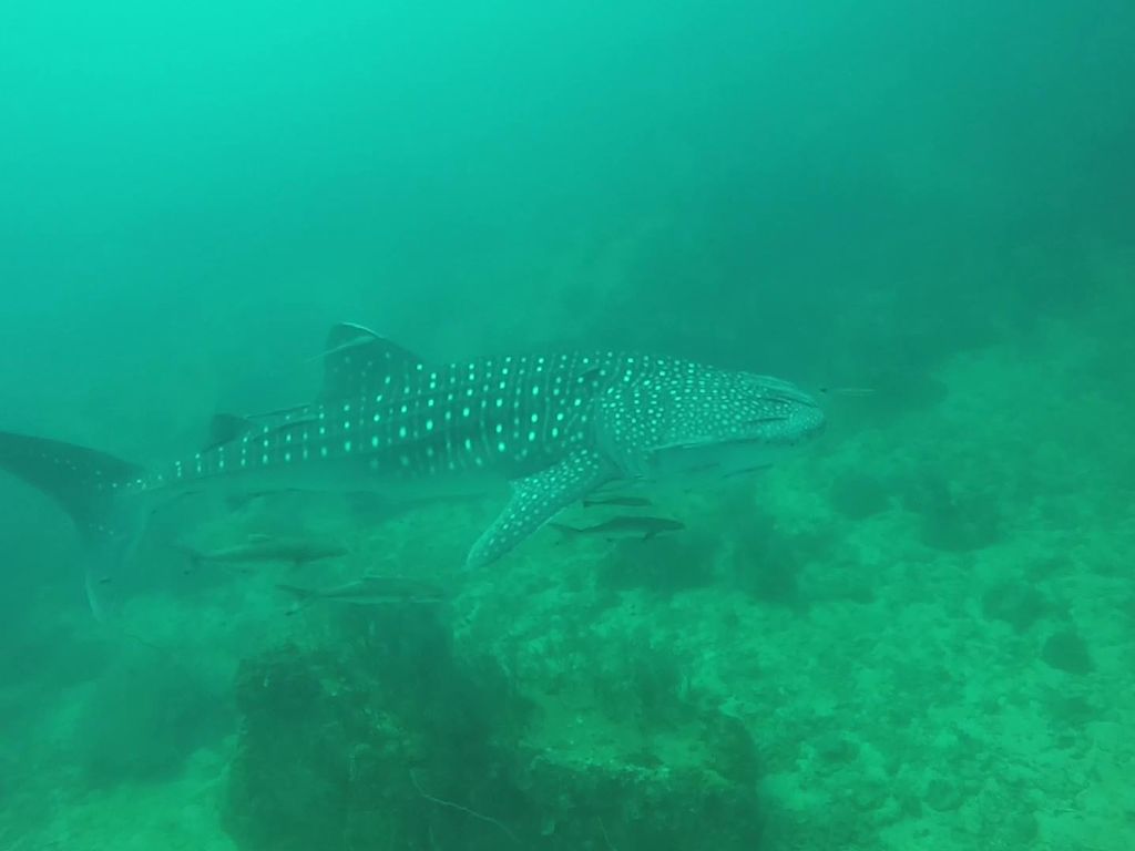 5ca85910-094c-41a7-81ef-03643ebe4ac3