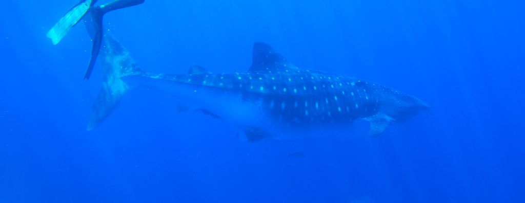 ca7a8854-daf0-4062-82d1-6426ca223de0