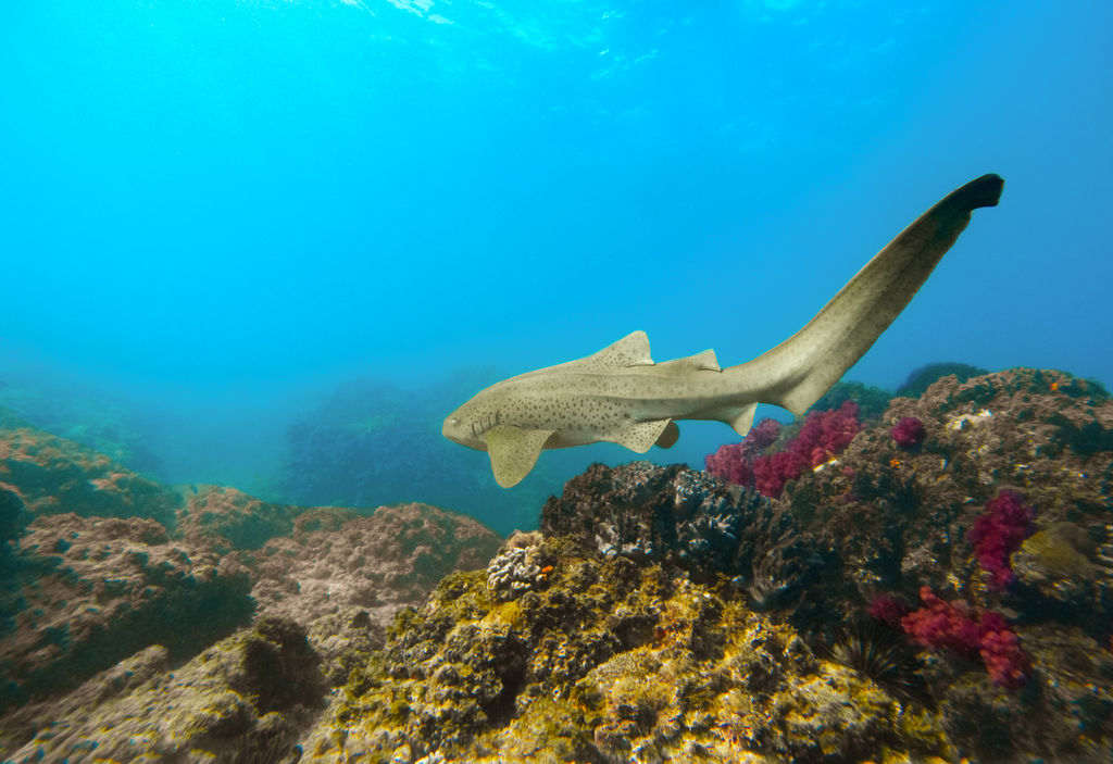 592cf5c3-5821-4892-b3c9-b88fc3649973