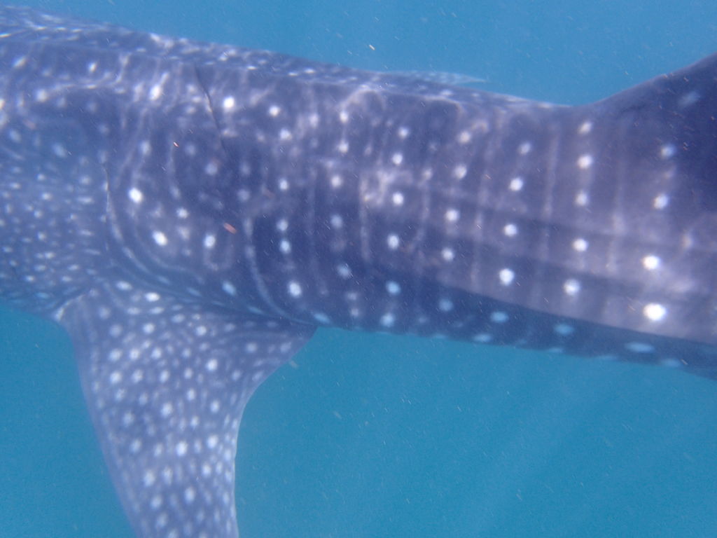 132aa094-db00-4b12-b9c5-17763a4c453d