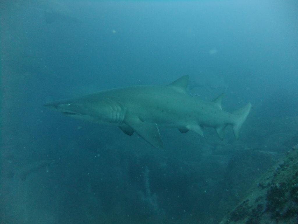 a9a76792-5753-4c4f-b5ce-3dddb195a361