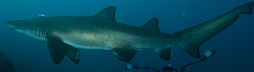 b4372a64-0394-46d6-ac9f-8bd25812582a