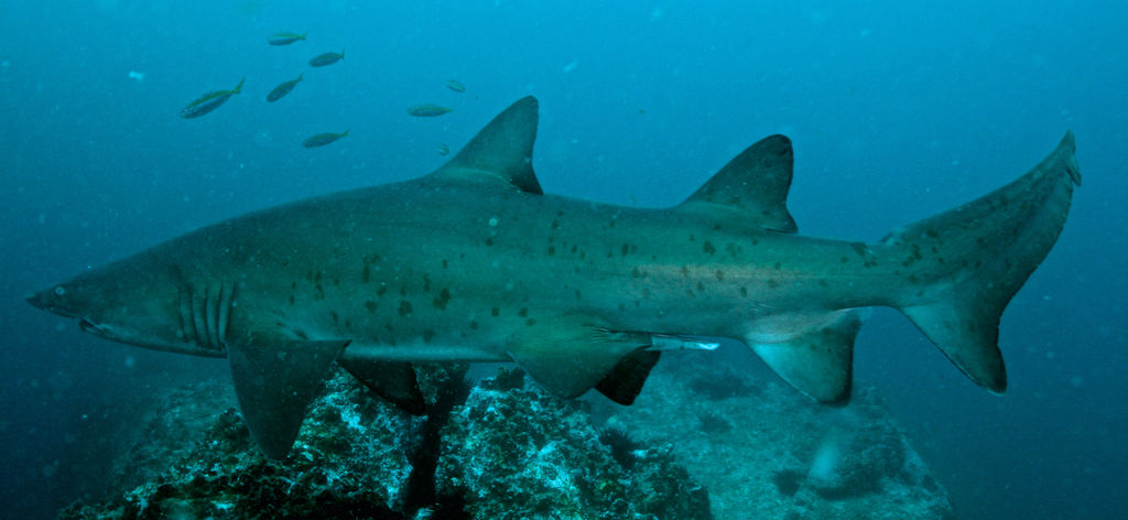 d9f83768-3f41-4c24-967c-e4d5b88d44ec