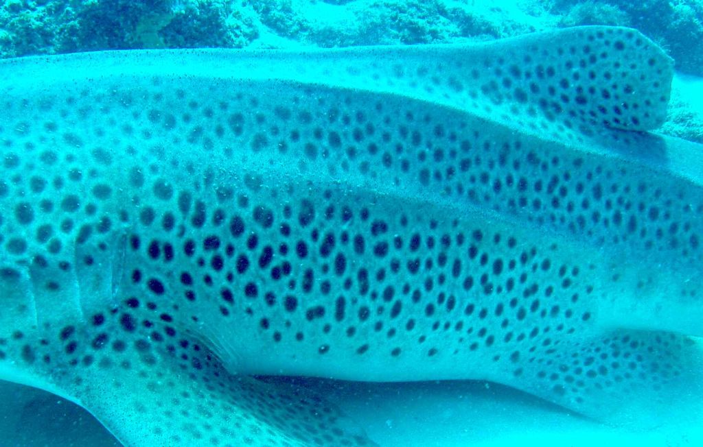 3963fa4e-a33f-43da-8710-25c939eb5320