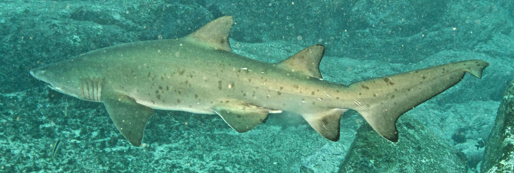 b8adad0d-6496-4403-9b96-5843bbf3460d