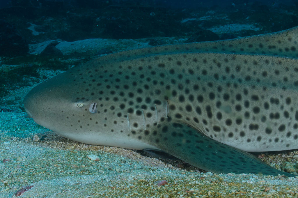 4b8975e6-bb43-4c0b-93ea-5ffc80134e2a