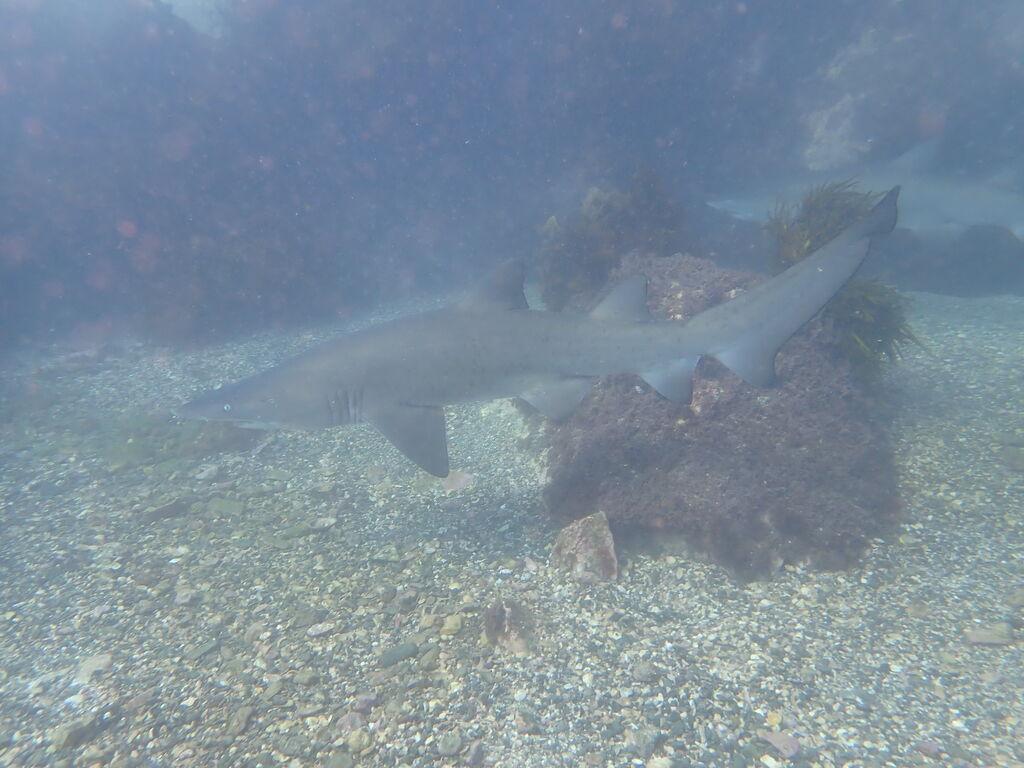 8dbc7c08-80bd-4bef-b925-2408633ee6ad