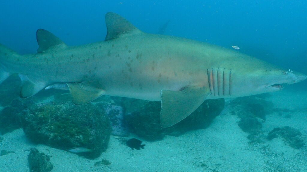 dab59c0d-f3e5-493d-a610-6497d3f2c554