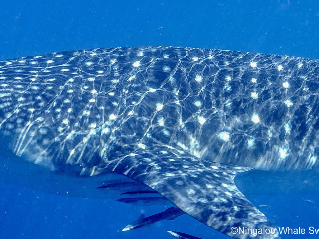 f58d86c7-9f77-4e2d-aa3c-8b5557fdb775