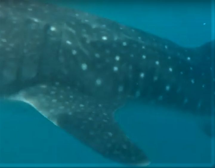 a2503257-78c7-4ded-90a0-53e6b5551439