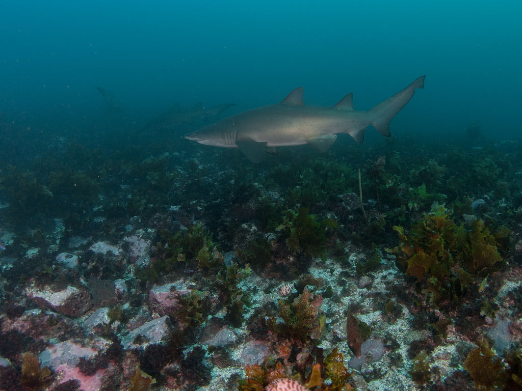 3f03ca9f-c08c-4796-a609-abaa69f91154