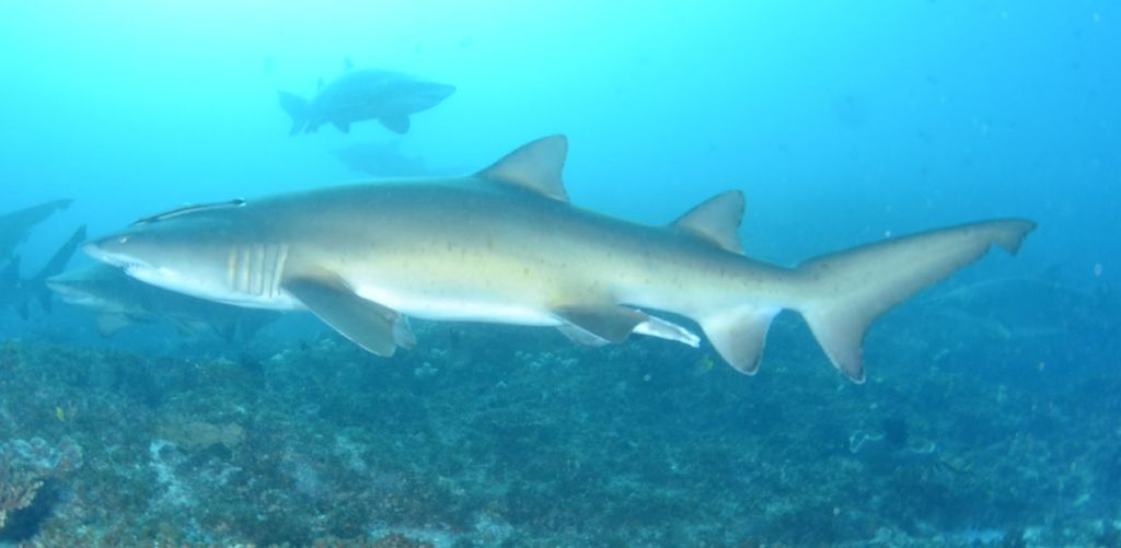 2262e357-43be-4ada-80a1-67455d38b13c