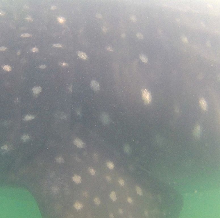 d07171ef-5bf1-4c94-9297-bb30252d3d0b