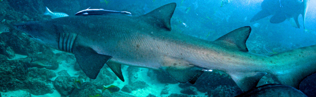 00afbb78-f20b-4f00-aacb-d425ec3f9c4c