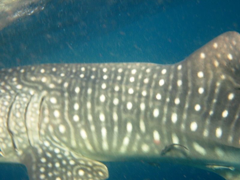 c5f9dc34-bd97-49f1-ace1-cce10a1f98dd