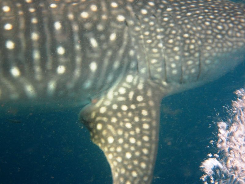 c5f9dc34-bd97-49f1-ace1-cce10a1f98dd