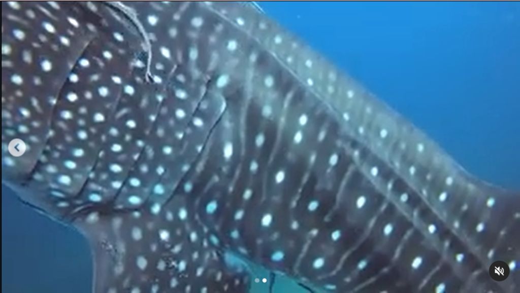 e825c52e-cd01-43b9-bf1c-58cbd0bc0104