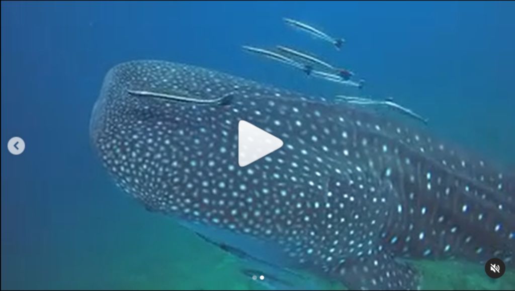 e825c52e-cd01-43b9-bf1c-58cbd0bc0104