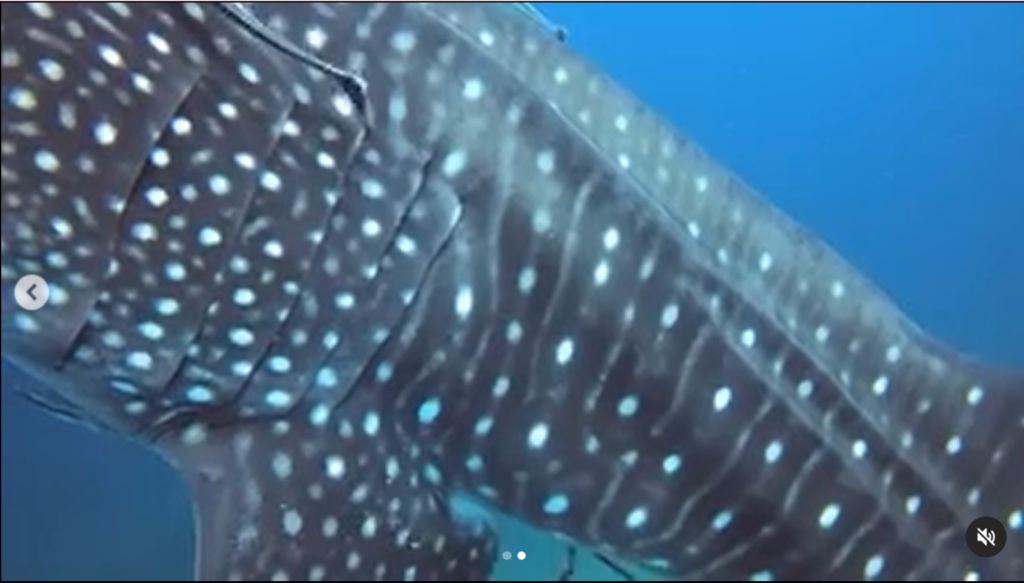 e825c52e-cd01-43b9-bf1c-58cbd0bc0104