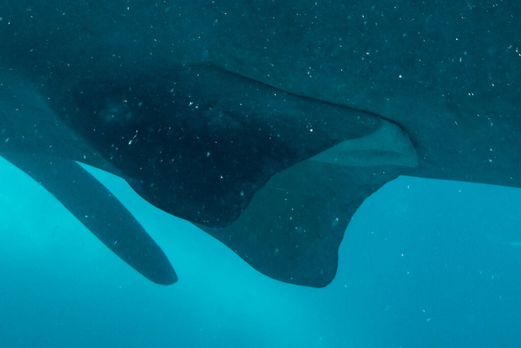 c9884bfd-b59a-4906-99b3-95b46664bca2