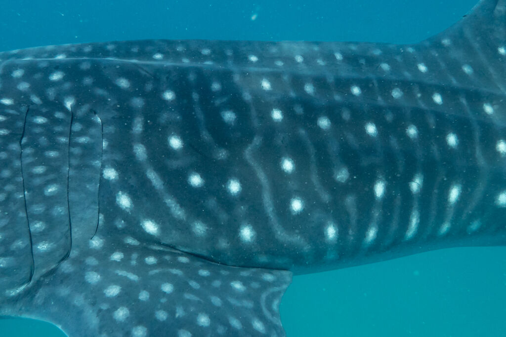 c9884bfd-b59a-4906-99b3-95b46664bca2