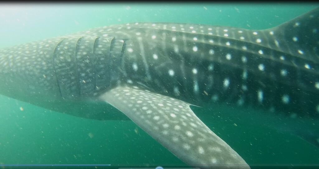 236abcfd-5da4-4b51-8ea9-1072f3f9895e