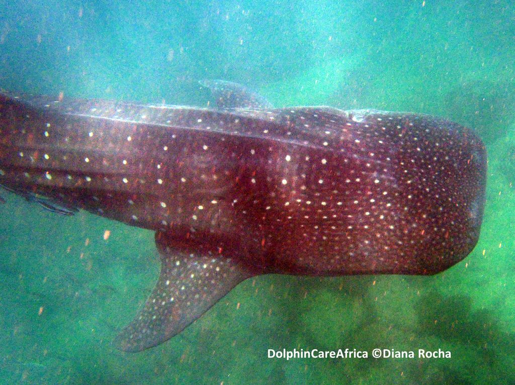 72ed773f-b66d-4119-a84f-46ab43240feb