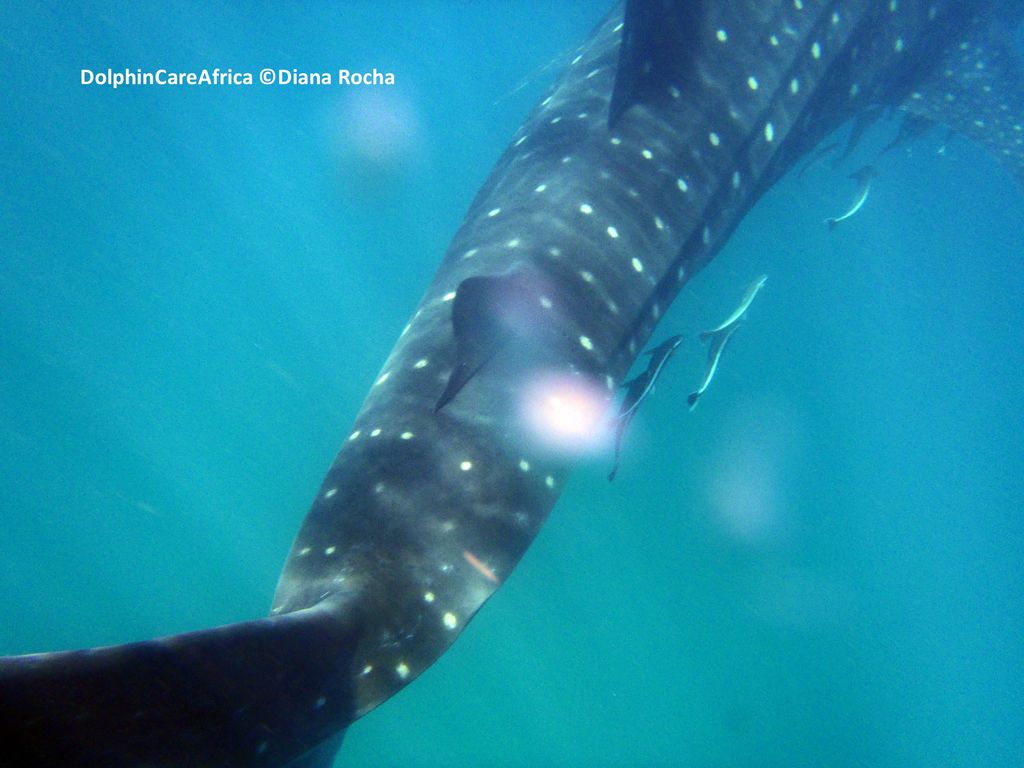 72ed773f-b66d-4119-a84f-46ab43240feb