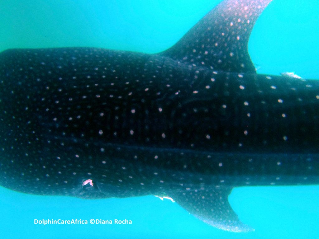 72ed773f-b66d-4119-a84f-46ab43240feb