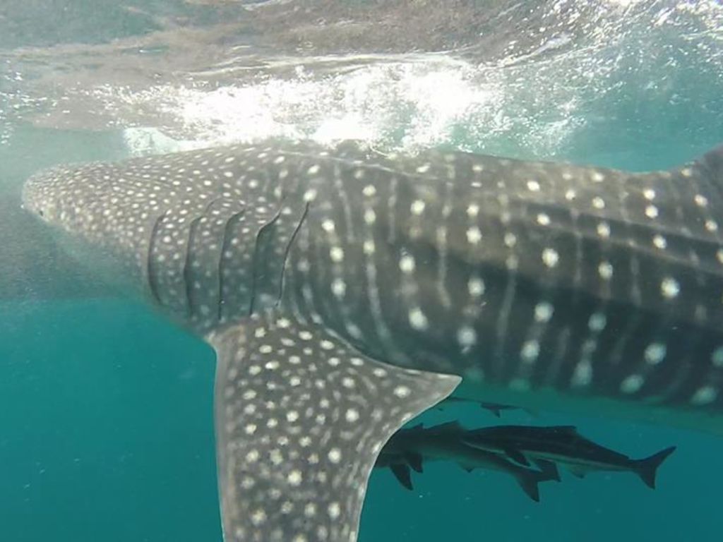 86362727-fe14-4469-97b2-12b24696ccb2