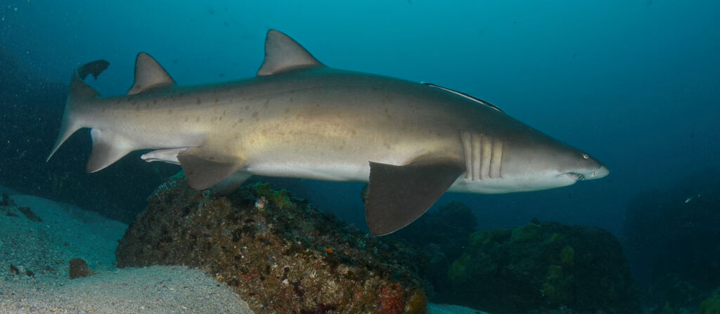 8d57a6d7-6b97-45a1-a780-745245354c3f