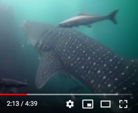 404d446c-b7d4-44f9-8f8a-6a4a91169fac