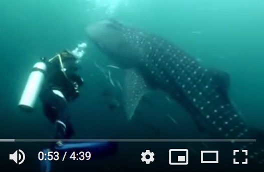 404d446c-b7d4-44f9-8f8a-6a4a91169fac