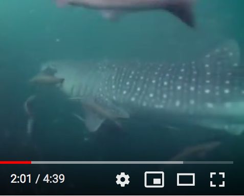 404d446c-b7d4-44f9-8f8a-6a4a91169fac