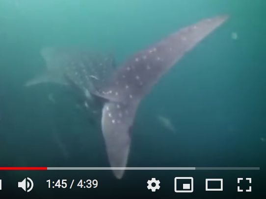 404d446c-b7d4-44f9-8f8a-6a4a91169fac