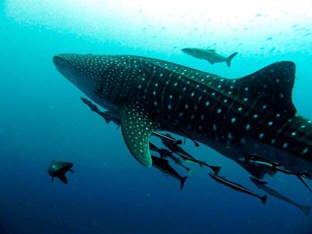 00a07f38-3d8b-44dd-96bf-bcdabc1ee866