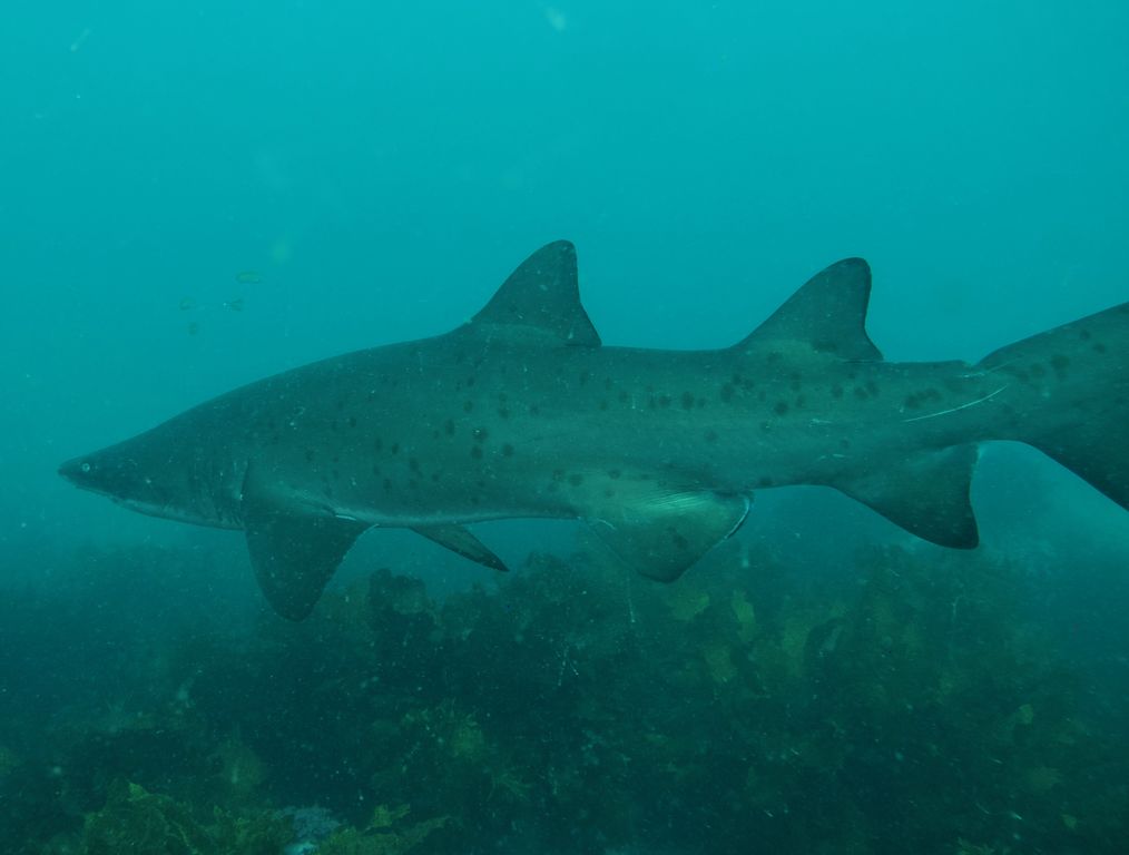 772e9d6f-422a-4278-95b7-93c15fad04e8